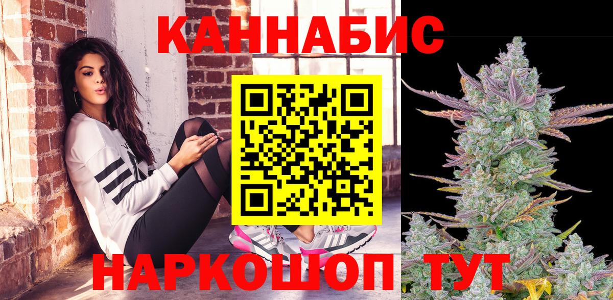 Конопля OG Kush Луховицы